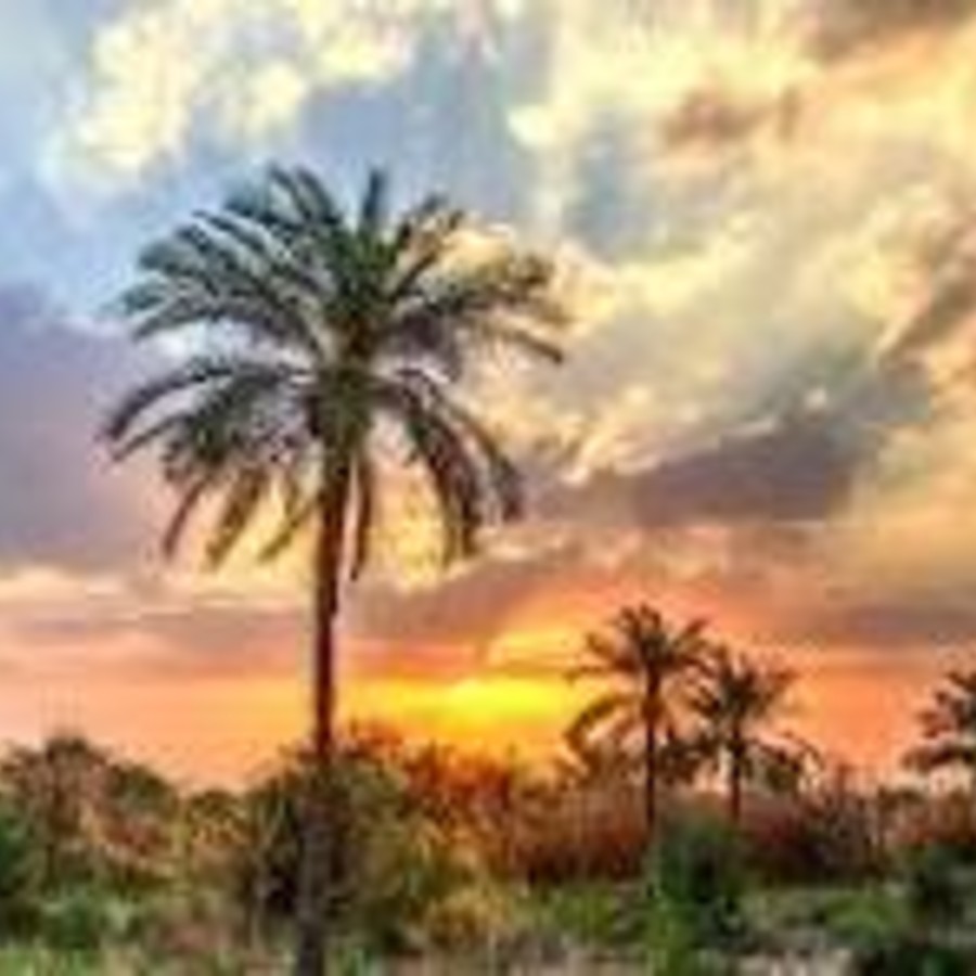 اهنگ هاشم دریس هله هله آبادان